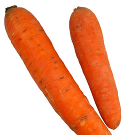 Carrot (2 pc)