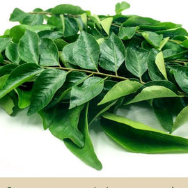 Daun kari (curry leaf) 50g