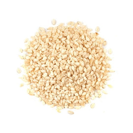 Sesame seed (white)