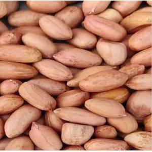 Jeya Spices Groundnut (big) 500g