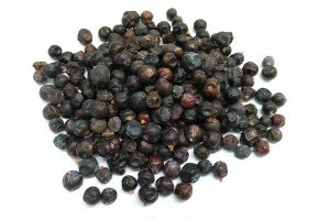 Juniper Berries