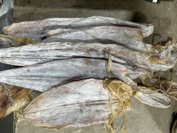 Cuttlefish Large X2 1 kg