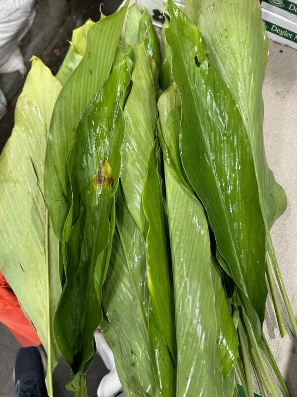 Daun Kunyit (Turmeric Leaf) 400g-500g