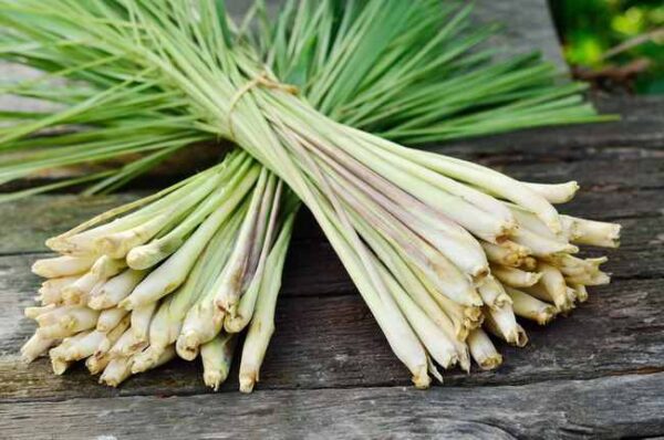 Lemongrass (Serai) 500g