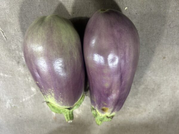 Brinjal Pink Round 400-500g