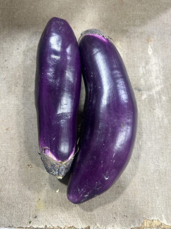 Brinjal Purple Long 2 pc