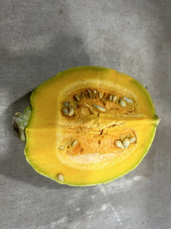 Pumpkin Australia (quartered)