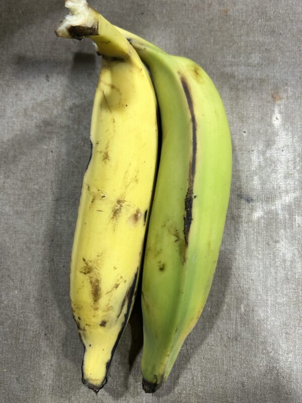 Pisang Tanduk (Indian Horn Banana 2 pc