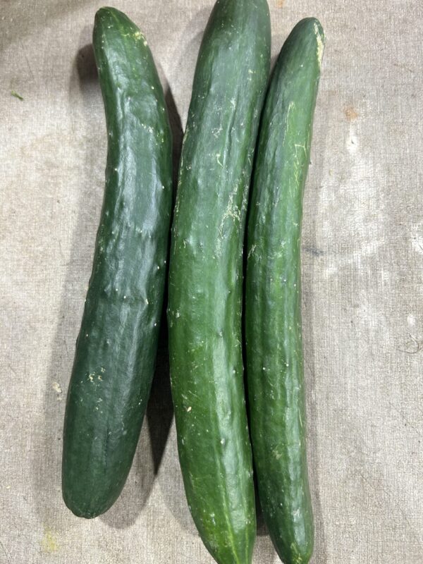 Japanese Cucumber (3 pc)