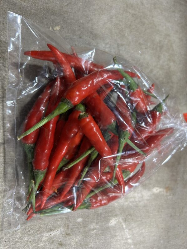 Red chilli padi 100g-120g