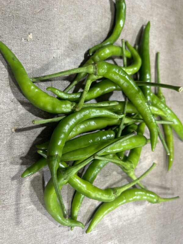 Green Chilli Padi 100g