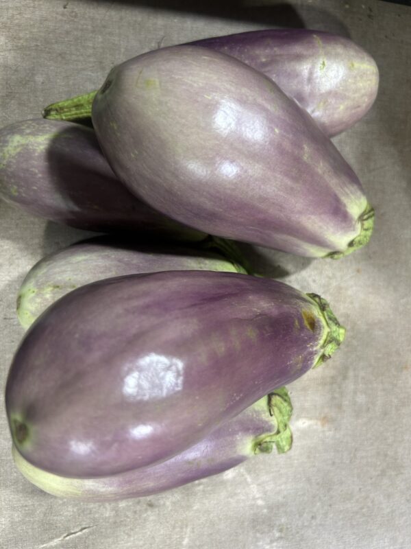 Brinjal Pink Round 1 kg