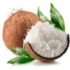Fresh White Grated Coconut 1 kg (Kelapa Parut Putih)